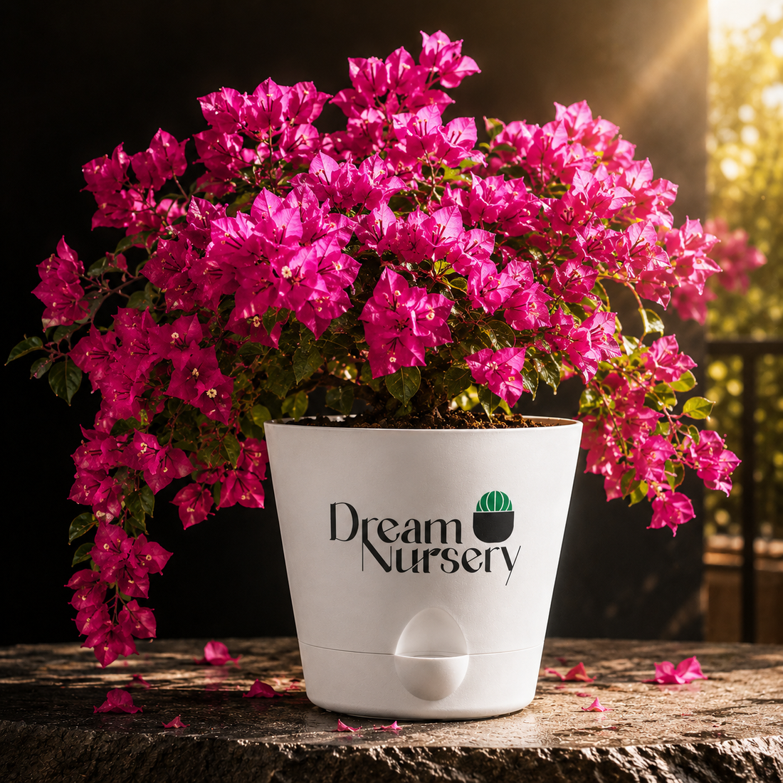 Best Flowering Plants for Apartment Balconies