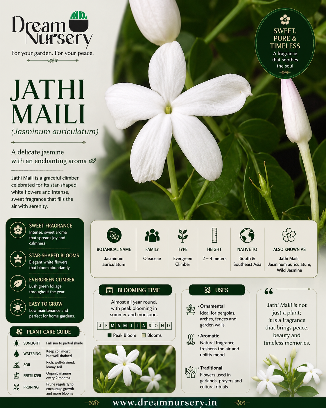 Fragrance Combo - Jathi Mali + Koda Mali + Parijatham