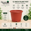 12 Inch Heavy Duty Grower Plastic Pot Matte Finish Black Brown for large plants terrace gardens India.