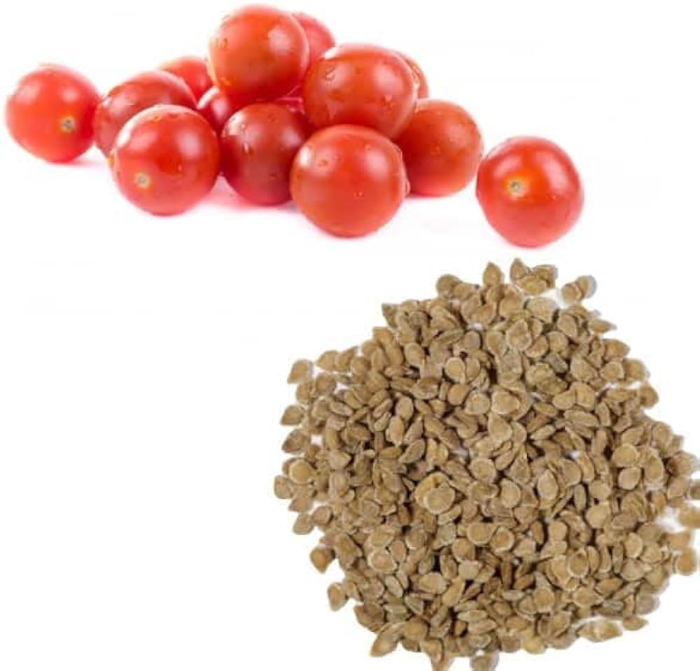 Tomato - Country kitchen/Home garden Seeds
