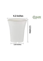 Tall round 4.2 inch plastic pot for cacti & succulents.