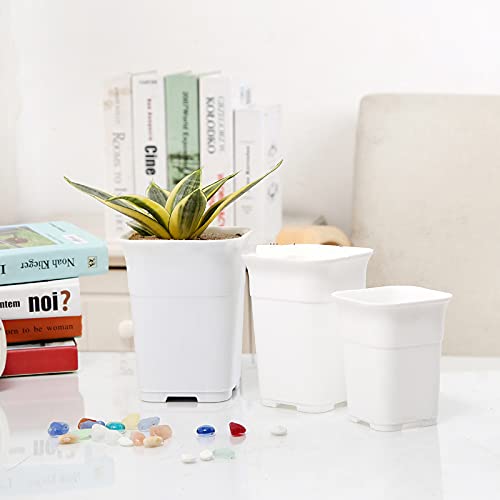 Square tall plastic pot for cacti and succulents — product photo