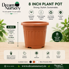 8 inch plastic flower pot for indoor and outdoor plants