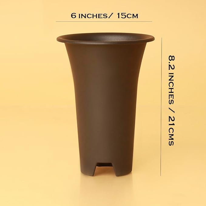Tall 6 inch round plastic pot — top-down view