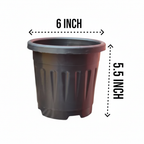 6 Inch Nursery Garden Plastic Grower Pot for Terrace Gardening & Outdoor.