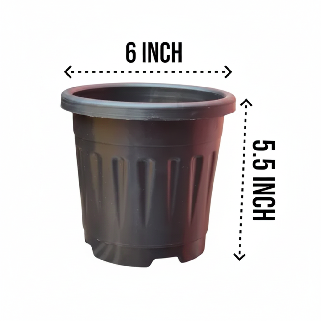 6 Inch Grower Pot with Dimensions