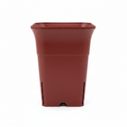 Brown square tall plastic pot
