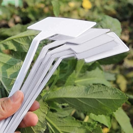 Plastic Plant Label 'T' Type with Tilted Head – White (Pack).