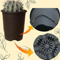 Tall black nursery plastic pot 7.5" x 8.5" for cactus, Adenium and succulents — front view