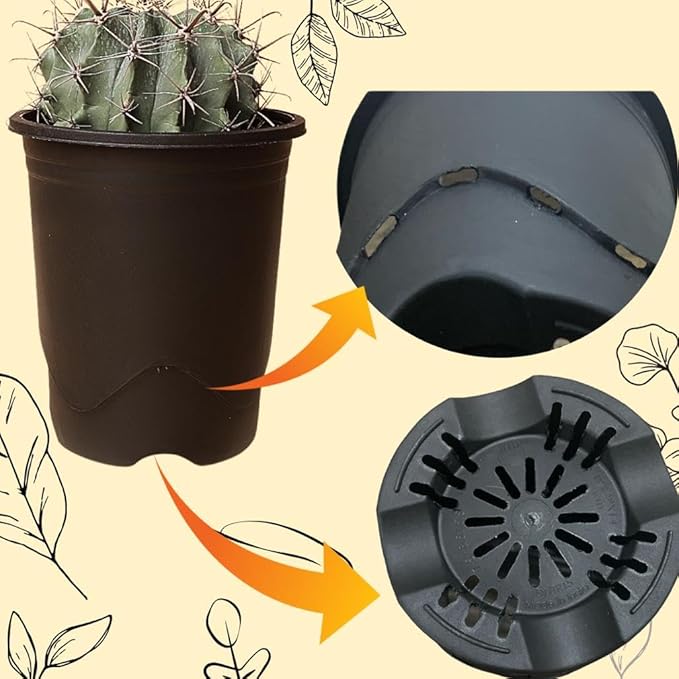 Tall black nursery plastic pot 7.5" x 8.5" for cactus, Adenium and succulents — front view