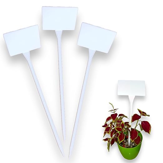 Plastic plant labels T-type with tilted head — white pack