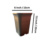 6 inch square tall plastic pot for succulents and cactus – photo 2