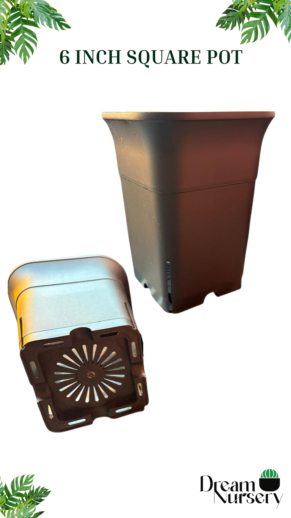 6 inch square tall plastic pot in black — front view