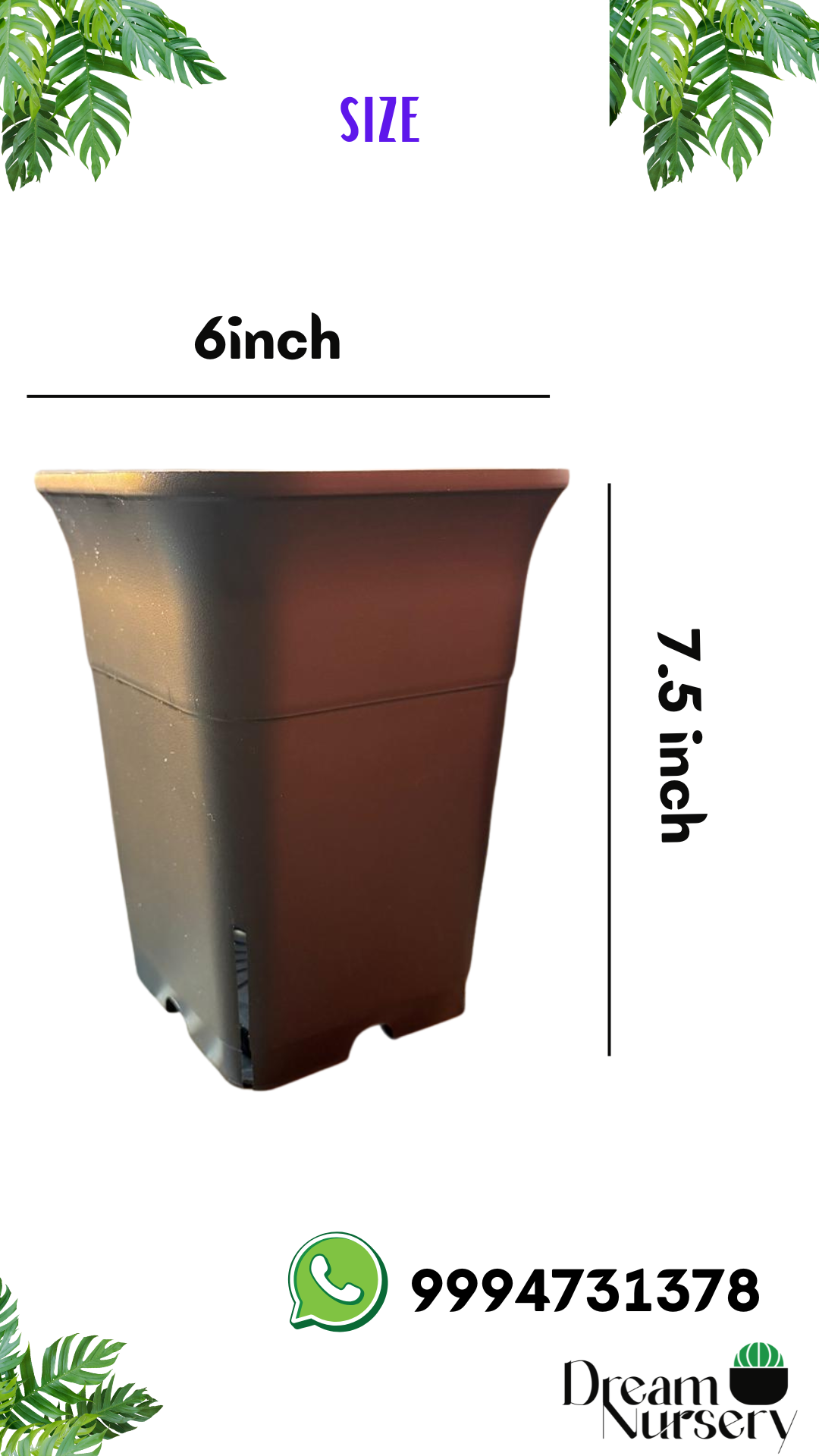 6 inch square tall plastic pot — side view