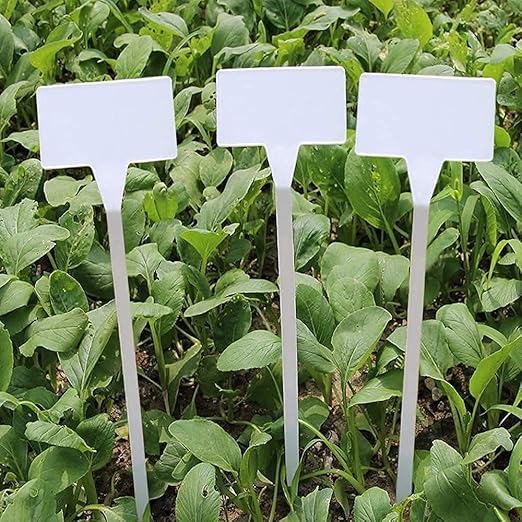 T-type plant labels — pack contents