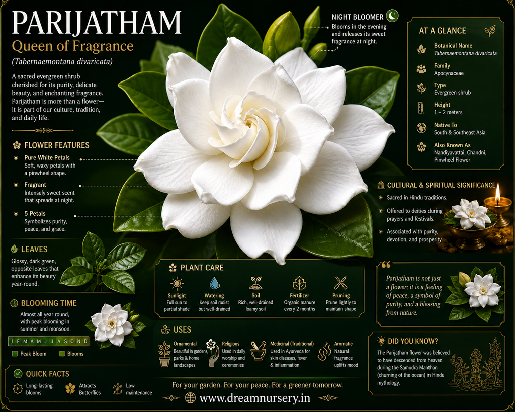 Fragrance Combo - Jathi Mali + Koda Mali + Parijatham