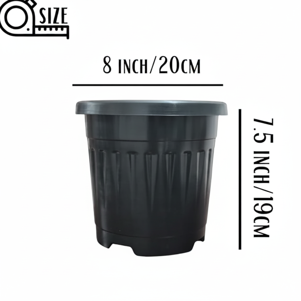 8 Inch Black Pot