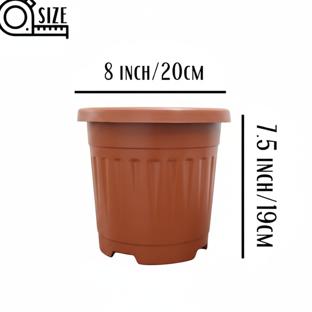 8 Inch Brown Pot
