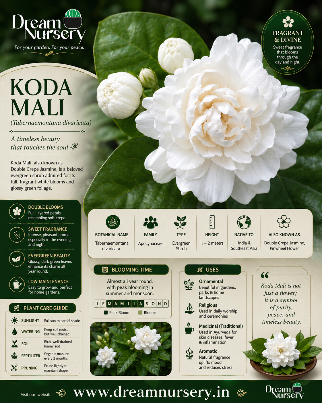 Fragrance Combo - Jathi Mali + Koda Mali + Parijatham
