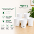 Self Watering Plastic Pot White | Pack of 5 | 4 Inch Indoor Plant Pot with Drainage