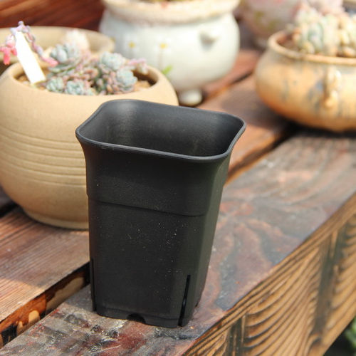 2.5 Inch Square Plastic Pot for Succulents & Cactus.