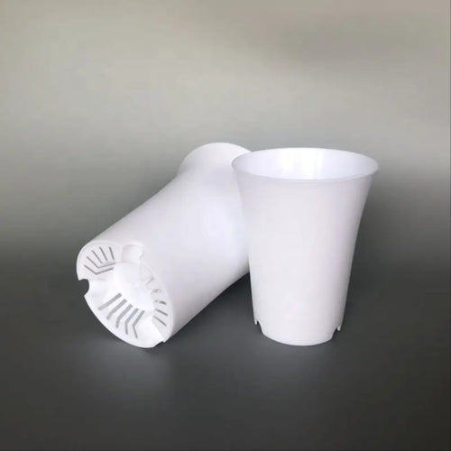 Tall round 4.2 inch plastic pot for cacti & succulents.