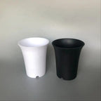 Tall round 3inch plastic pot for cacti & succulents.