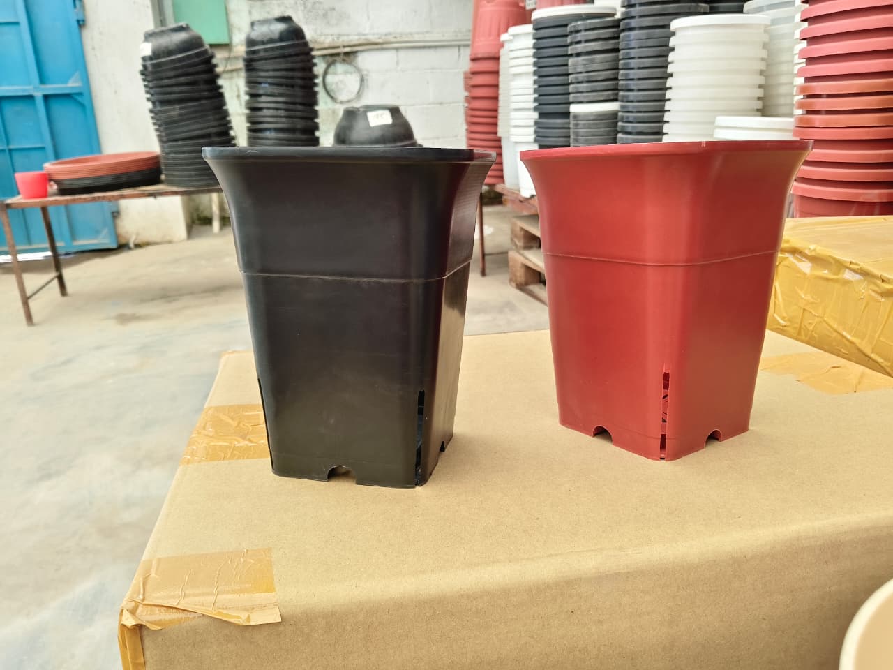 6 inch square tall plastic pot with succulent planted inside