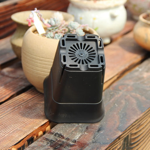Black 3.5 inch square tall plastic pot for cacti and succulents