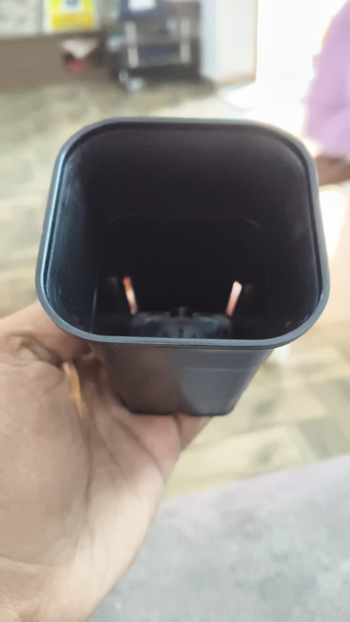 Top-down view of 2.5 inch square plastic pot