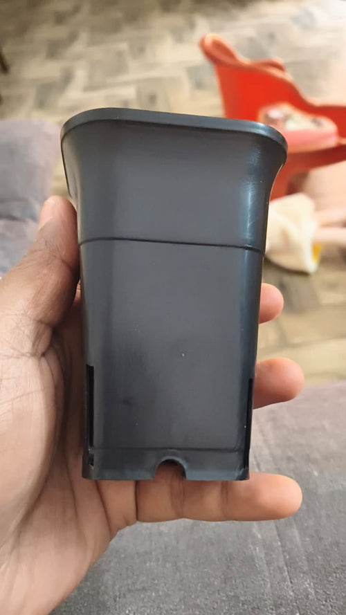 Black 2.5 inch square plastic pot for succulents and cactus by Dream Nursery