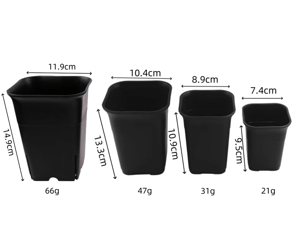 3.5 inch square tall pot with drainage holes visible