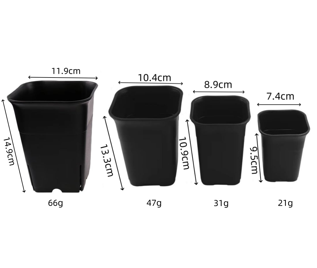 3.5 inch square tall pot with drainage holes visible