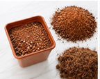 Cactus starter kit with square pot, red soil and cocopeat