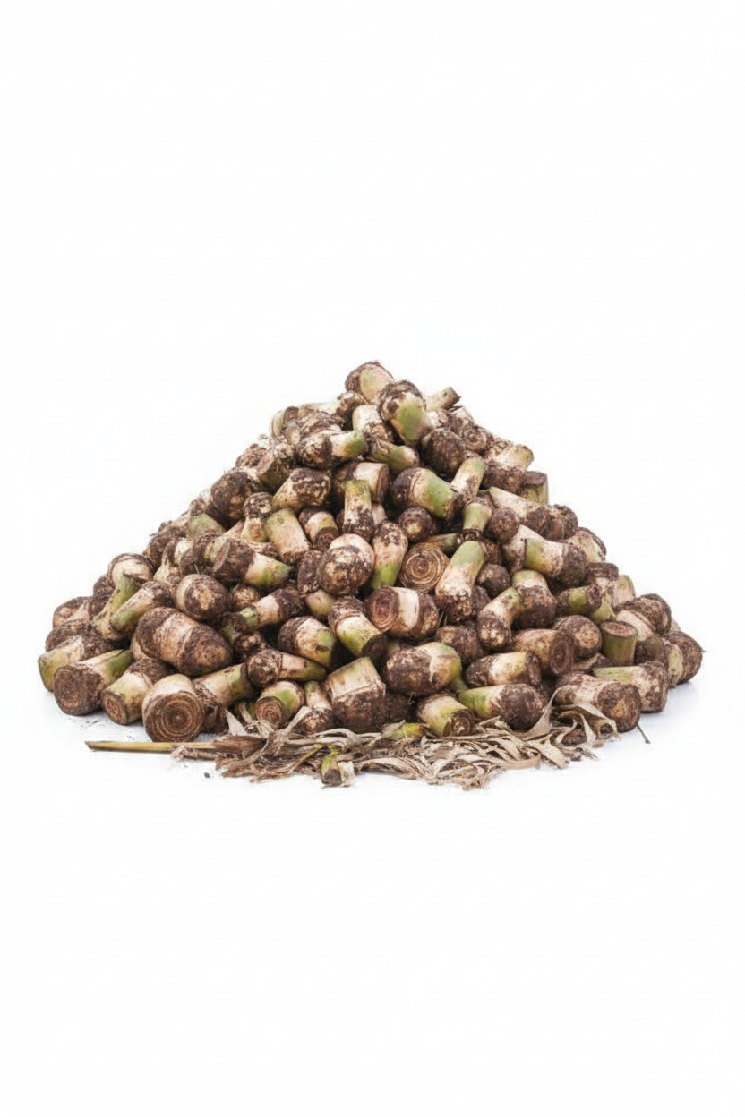 Banana Corms - Original Style