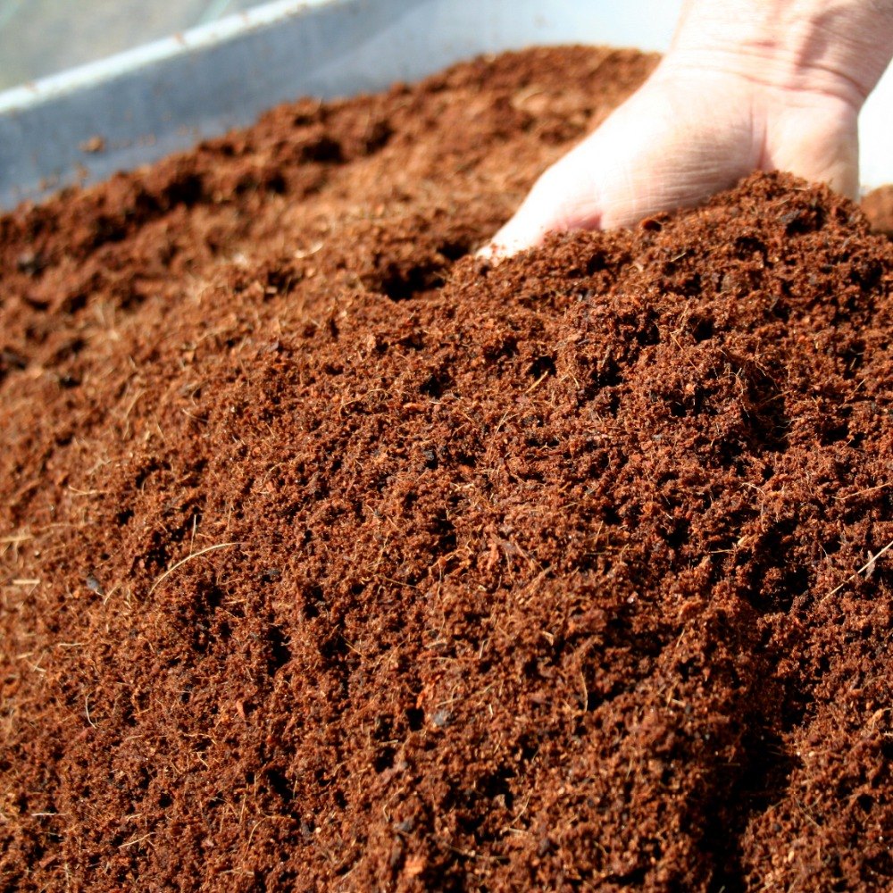 Cocopeat powder — sieved fine grade for soil mixes