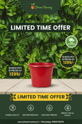 Dream Nursery 12 Inch Pot - 1299 Offer