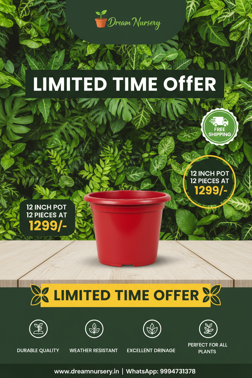 Dream Nursery 12 Inch Pot - 1299 Offer