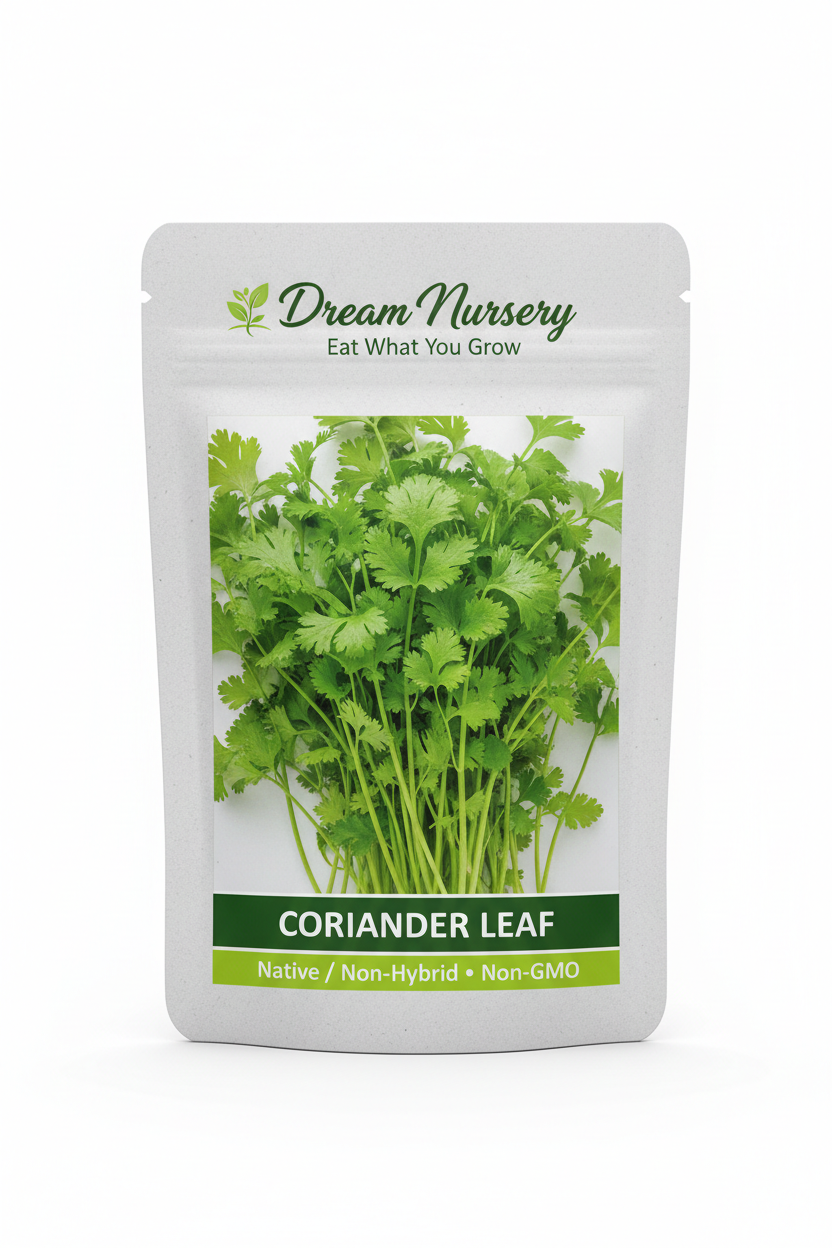 Dream Nursery – Coriander Leaf Seed Pouch