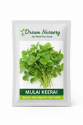 Dream Nursery – Mulai Keerai Seed Pouch