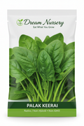 Dream Nursery – Palak Keerai Seed Pouch