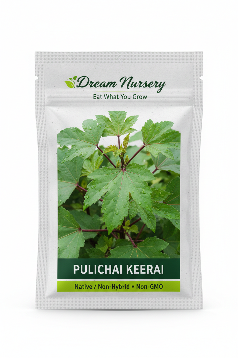 Dream Nursery – Pulichai Keerai Seed Pouch