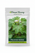 Dream Nursery – Pulichai Keerai Seed Pouch