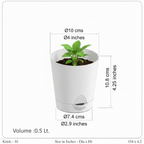 4 inch self watering pots shown with plants for size reference