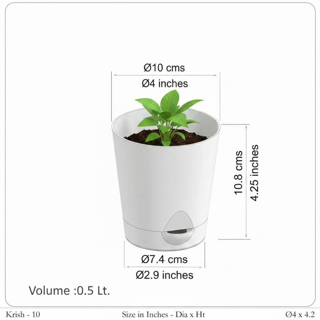 Lifestyle Size Infographic