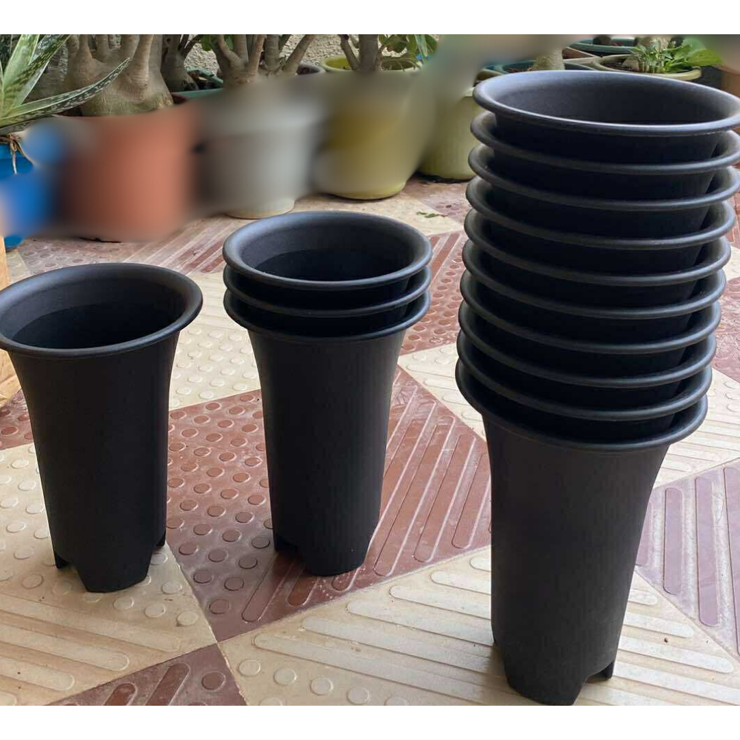 Tall 6 inch round plastic pot — product brochure photo