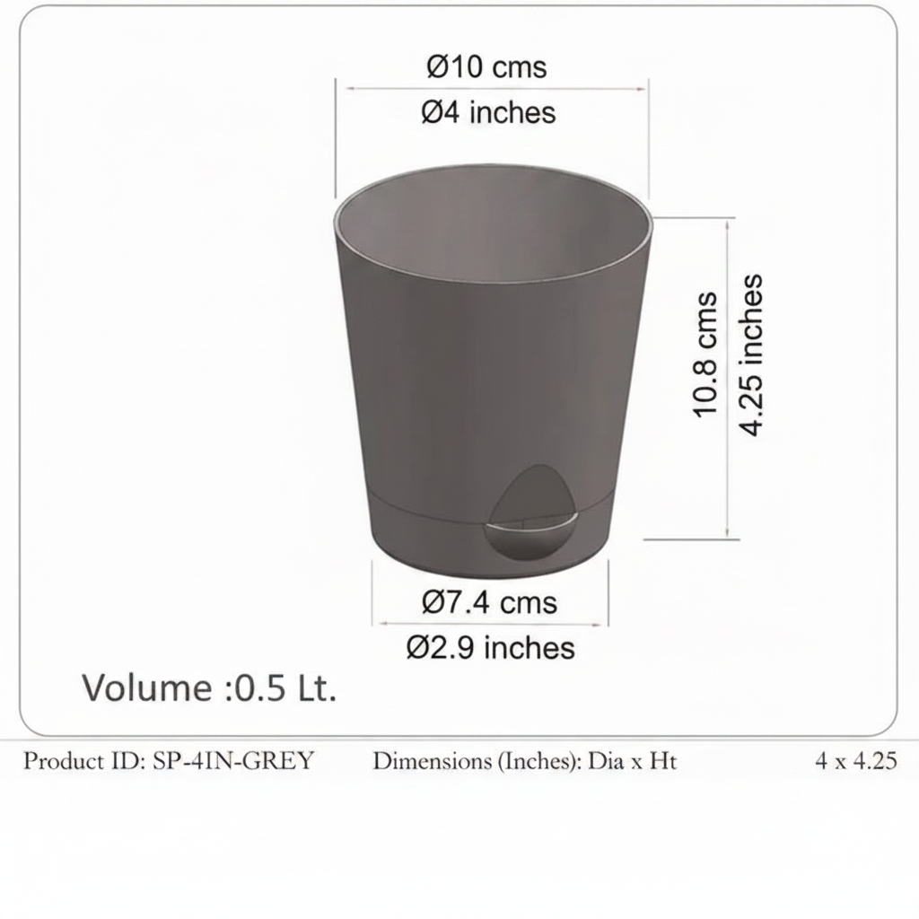 Size Infographic