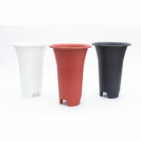 Tall 6 Inch Round Pot for Succulents, Cactus & Adenium.