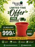 Pack of 12 Pots - 12 Inch Brown